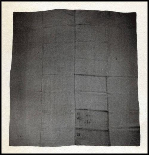 2009 Record shot by L. Baumgarten. Sheet.
