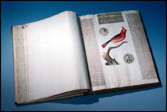 No image number on slide
