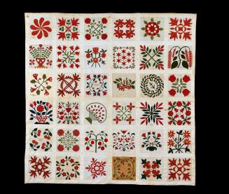 TC99-15. Quilt
