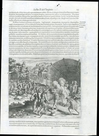Direct scan of object
